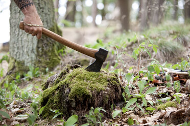 Hand hält Axt an Baumstumpf im Wald - MFRF00995