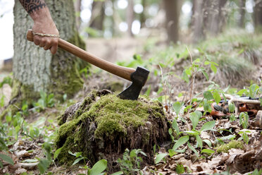 Hand holding axe at tree stump in the forest - MFRF00995