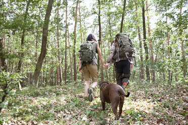 Ehepaar mit Rucksäcken und Hund auf einer Wanderung im Wald - MFRF01009