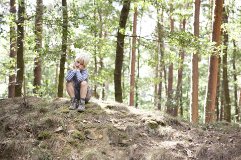 Boy in forest sitting on tree stump stock photo