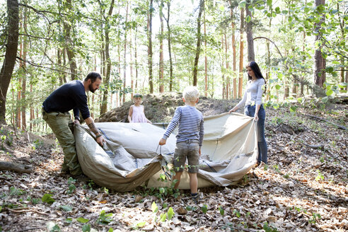 Familie im Wald baut gemeinsam ein Zelt auf - MFRF01030