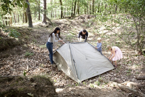 Familie im Wald baut gemeinsam ein Zelt auf - MFRF01031