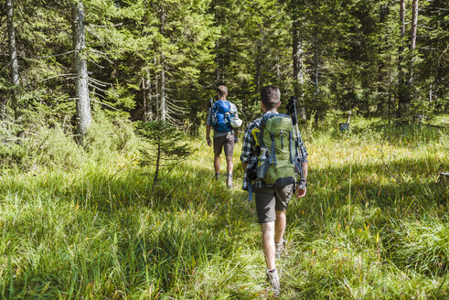 Deutschland, Bayern, Rückenansicht von zwei Freunden beim Wandern - DIGF02798