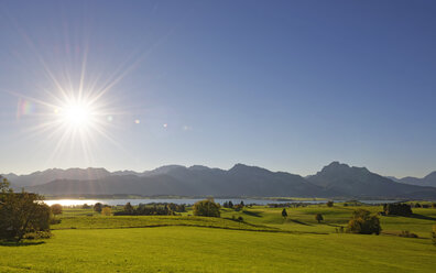 Deutschland, Bayern, Allgäu, Forggensee im Gegenlicht - LHF00538