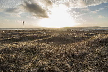 Deutschland, Niedersachsen, Ostfriesland, Langeoog, Dünenlandschaft bei Sonnenuntergang - JATF00972