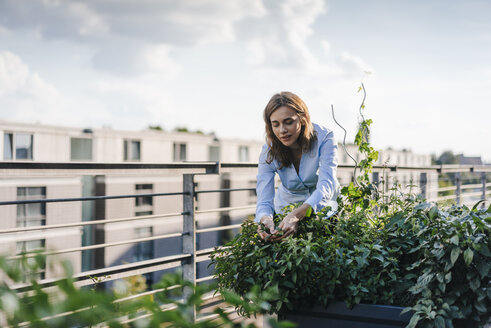 Businesswoman cultivating vegetables in his urban rooftop garden - KNSF02797