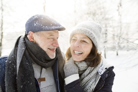 Porträt eines glücklichen älteren Paares in einer Winterlandschaft, lizenzfreies Stockfoto