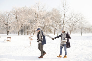 Älteres Paar mit Schlittschuhen in einer Winterlandschaft - HAPF02144