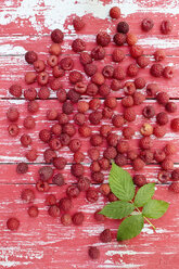 Himbeeren und Blatt auf Holz - ASF06115