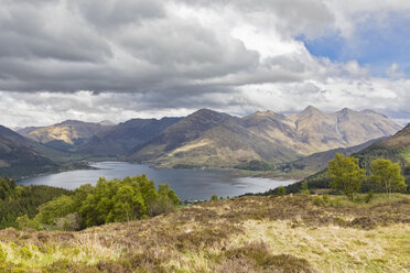 UK, Scotland, Kintail, view to Loch Duich and Five Sisters of Kintail - FOF09331