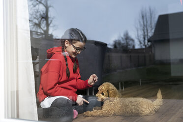 Mädchen spielt mit ihrem Hund im Wohnzimmer - SBOF00619