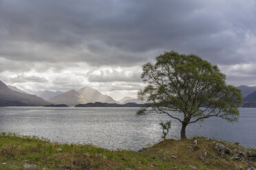 UK, Scotland, Loch Shieldaig - FOF09340