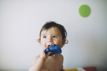 Porträt eines kleinen Mädchens, das in ein Plastikspielzeug beißt - GEMF01794