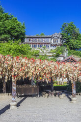 China, Yunnan, Lijiang, Altstadt - THAF02008