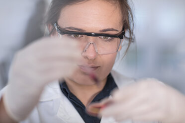 Scientist working in lab with a petri dish - ZEF14610