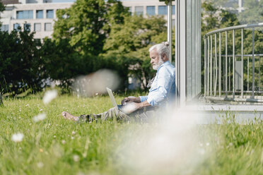 Mature man using laptop on meadow - JOSF01733