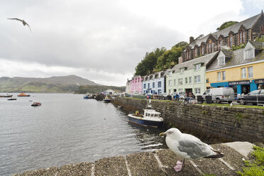 UK, Schottland, Isle of Skye, Portree, Hafen - CLPF00138