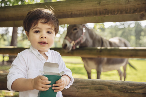 Portrait of toddler with box of animal food in wild park stock photo