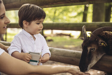 Mutter und kleiner Sohn beim Füttern einer Ziege im Wildpark - MFF03958