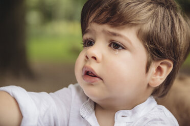 Portrait of unhappy toddler with tear in his eye - MFF03965