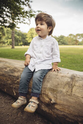 Happy toddler sitting on tree trunk in park - MFF03966