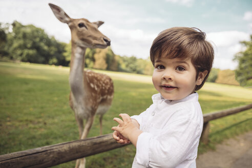 Porträt eines glücklichen Kleinkindes in einem wilden Park mit Rehen im Hintergrund - MFF03967