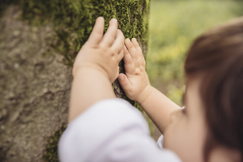 Toddler's hands feeling tree moss in park - MFF03970