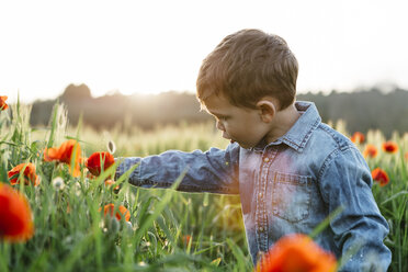 Junge in einem Mohnfeld im Frühling - JRFF01440