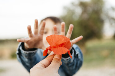 Die Hand des Vaters, der seinem Sohn eine Mohnblume überreicht - JRFF01443