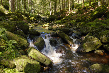 Deutschland, Bayern, Bayerischer Wald, Steinklamm - SIEF07513