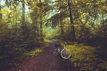 Bicycle on forest path - DWIF00871