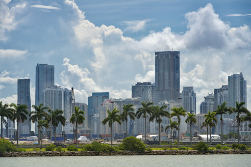 USA, Florida, Miami, Downtown, Skyline mit Hochhäusern und Palmen - SHF01961
