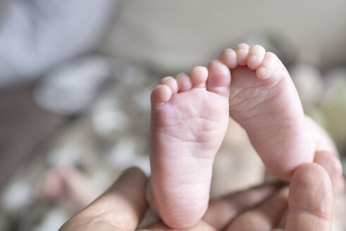 Füße eines Babys, das von der Hand der Mutter gehalten wird - CSTF01402