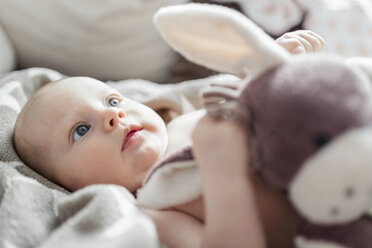 Portrait of baby girl with soft toy - CSTF01404