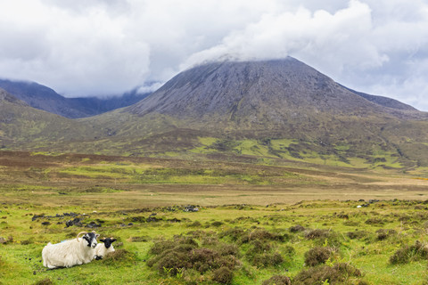 UK, Schottland, Innere Hebriden, Isle of Skye, Berg Beinn na Caillich und Mutterschaf mit jungen Schafen, lizenzfreies Stockfoto