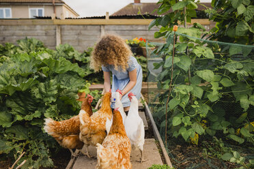 Little girl feeding chickens in allotment - NMSF00156