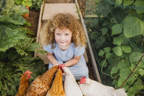 Portrait of little girl feeding chickens in allotment stock photo