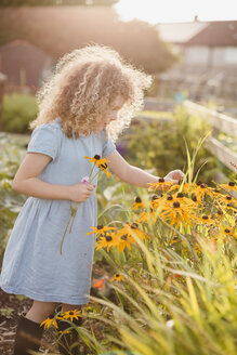 Kleines Mädchen pflückt Blumen im Garten - NMSF00162