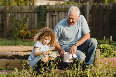 Little girl with her uncle in the garden - NMSF00167