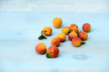 Apricots on light blue wood - LBF01643