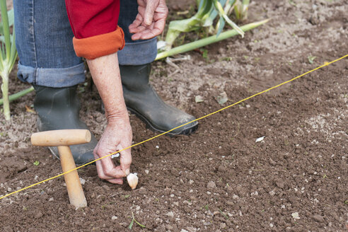 Close-up of woman planting garlic - HAWF00981