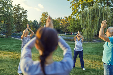 Group of people doing Tai chi in a park - ZEDF00891