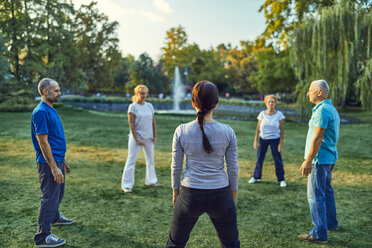 Group of people doing Tai chi in a park - ZEDF00892