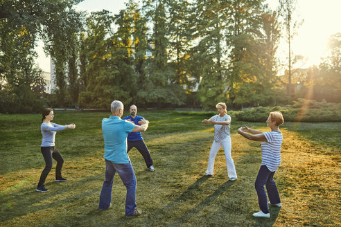 Group of people doing Tai chi in a park - ZEDF00893