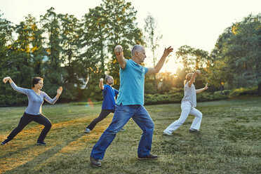 Group of people doing Tai chi in a park - ZEDF00894