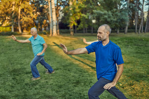 Gruppe von Menschen macht Tai Chi in einem Park - ZEDF00895