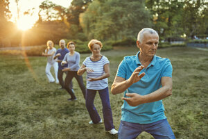Group of people doing Tai chi in a park - ZEDF00896
