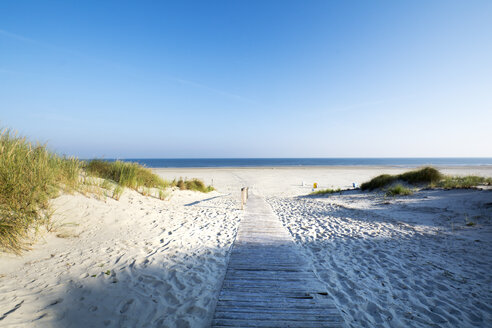 Deutschland, Niedersachsen, Ostfriesische Insel, Juist, Dünen- und Strandlandschaft - ODF01549