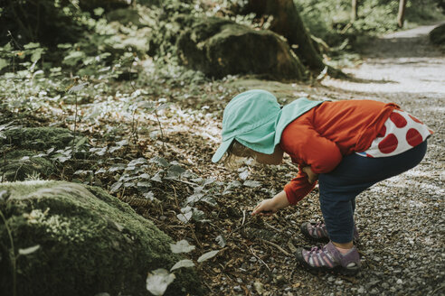 Kleinkind bei einem Ausflug im Wald - DWF00294