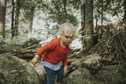 Kleinkind bei einem Ausflug im Wald - DWF00295